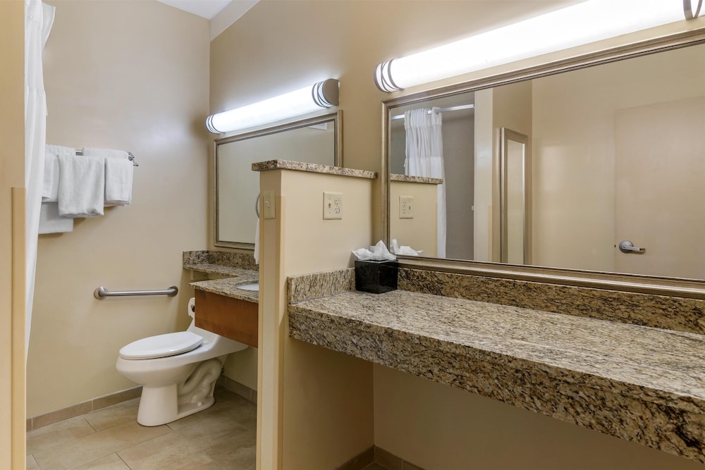 Suite, 1 King Bed, Non Smoking, Refrigerator & Microwave (with Sofabed) - Photo 4