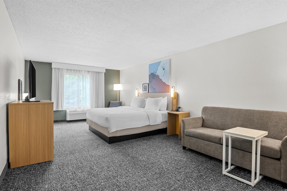 Room, 1 King Bed with Sofa bed