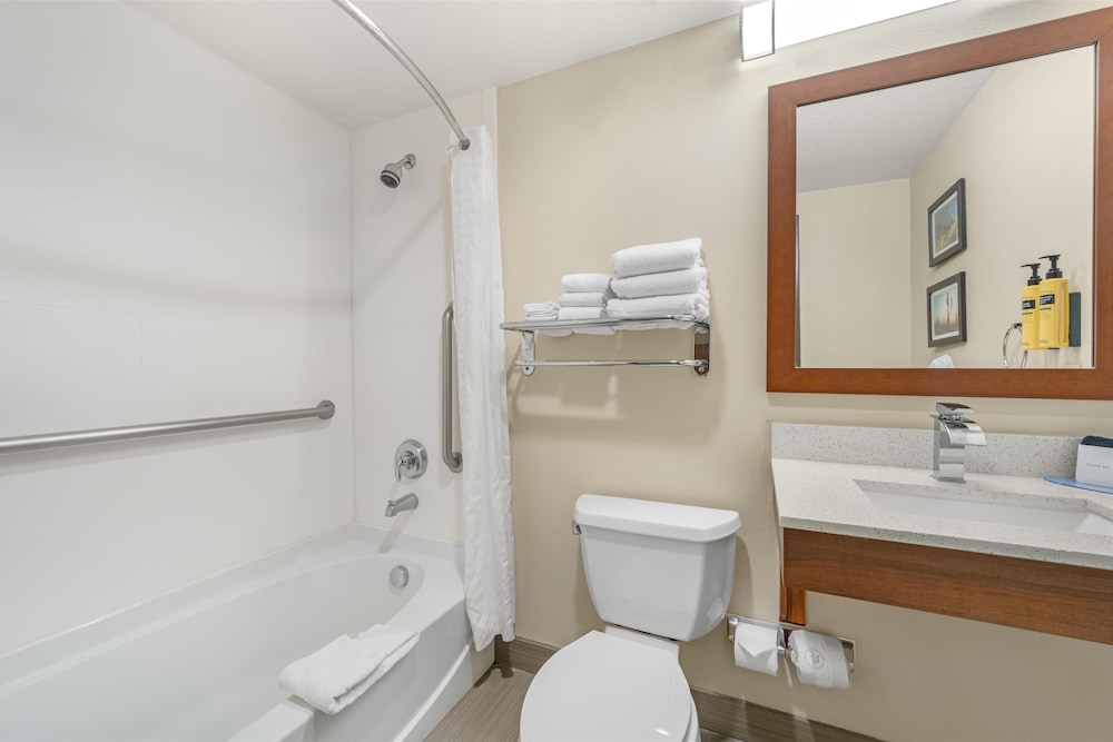 Suite, 1 King Bed, Non Smoking, Refrigerator & Microwave (Larger Room) - Photo 10
