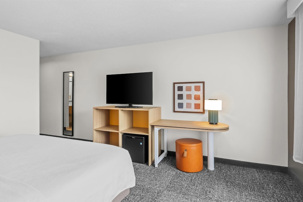 Room, 1 King Bed, Accessible, Bathtub (Mobility & Hearing) - Photo 1