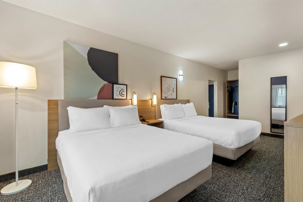 Suite, Multiple Beds photo 1