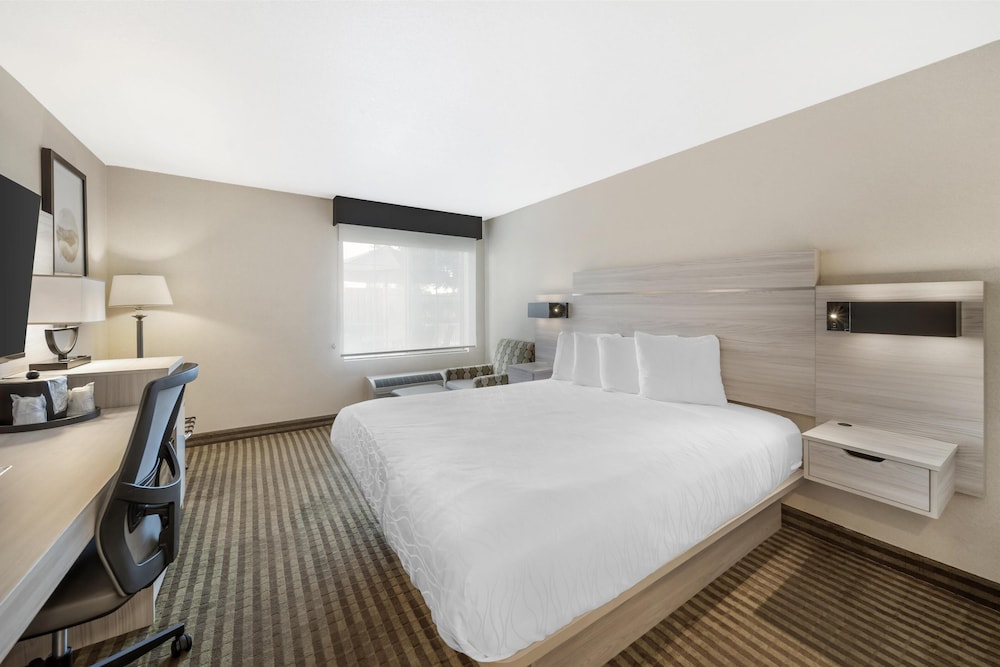 Standard Room, 1 King Bed, Non Smoking, Refrigerator & Microwave (Pet Friendly) - Photo 2