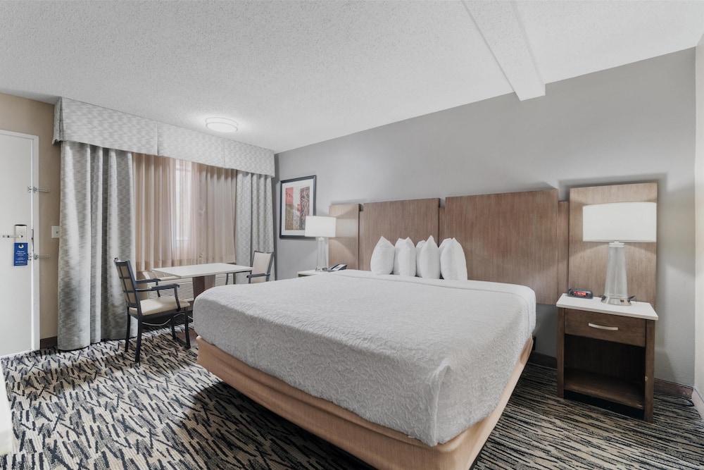Standard Room, 1 King Bed, Accessible, Non Smoking - Photo 4
