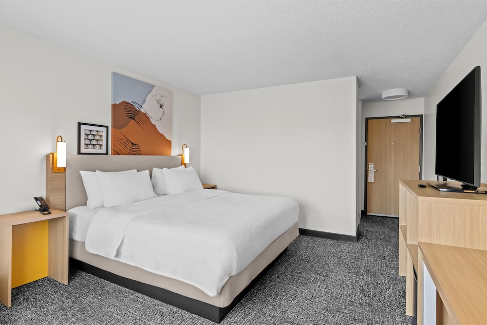 Room, 1 King Bed, Accessible, Bathtub (Mobility & Hearing) - Photo 3