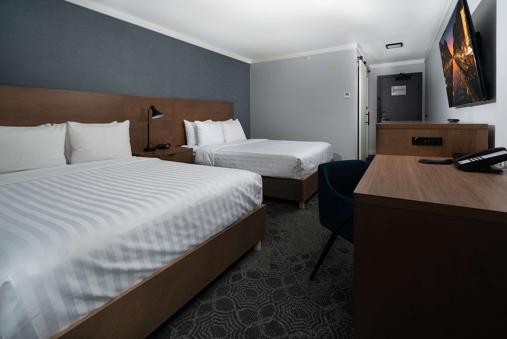 Standard Room, 2 Queen Beds, Non Smoking, Kitchenette (Pet Friendly) photo 3