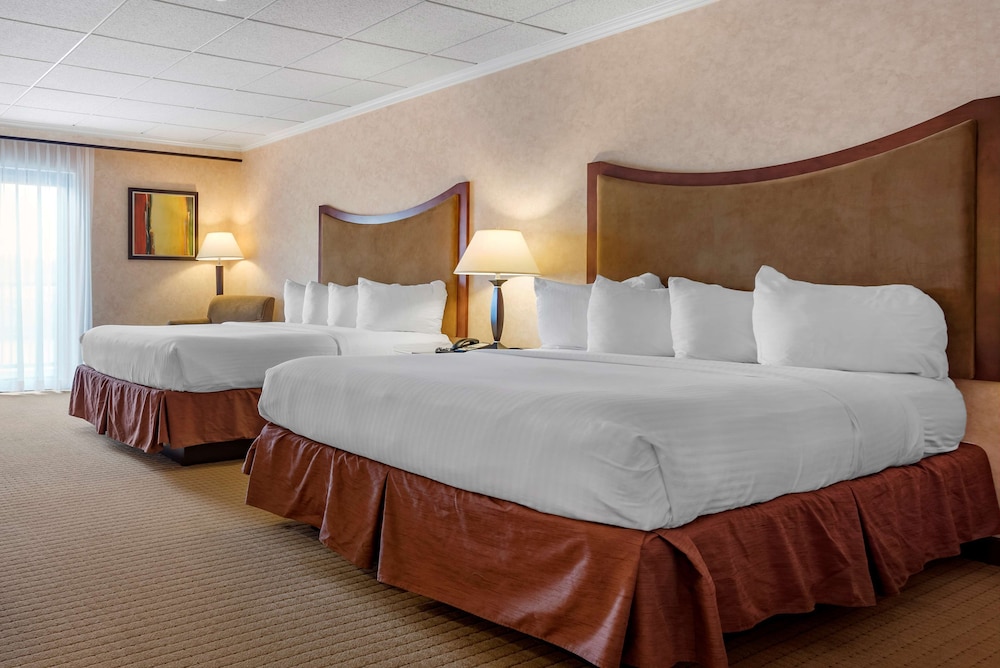 Standard Room, Multiple Beds, Non Smoking, Microwave (Oversized Room) photo 3