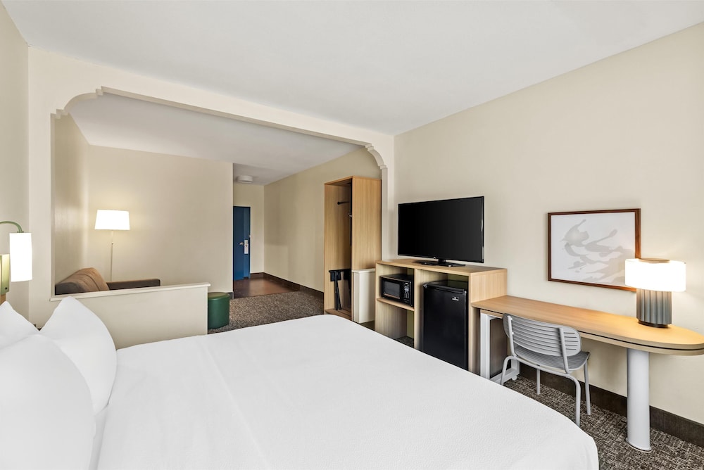 Room, 1 King Bed with Sofa bed, Accessible (Roll-In Shower) - Photo 1