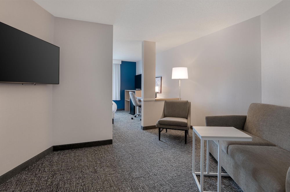 Room, 1 King Bed with Sofa bed, Accessible (Mobility & Hearing, Roll-In Shower) photo 2
