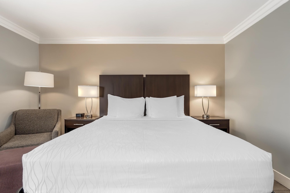 Standard Room, 1 King Bed, Non Smoking, Refrigerator & Microwave