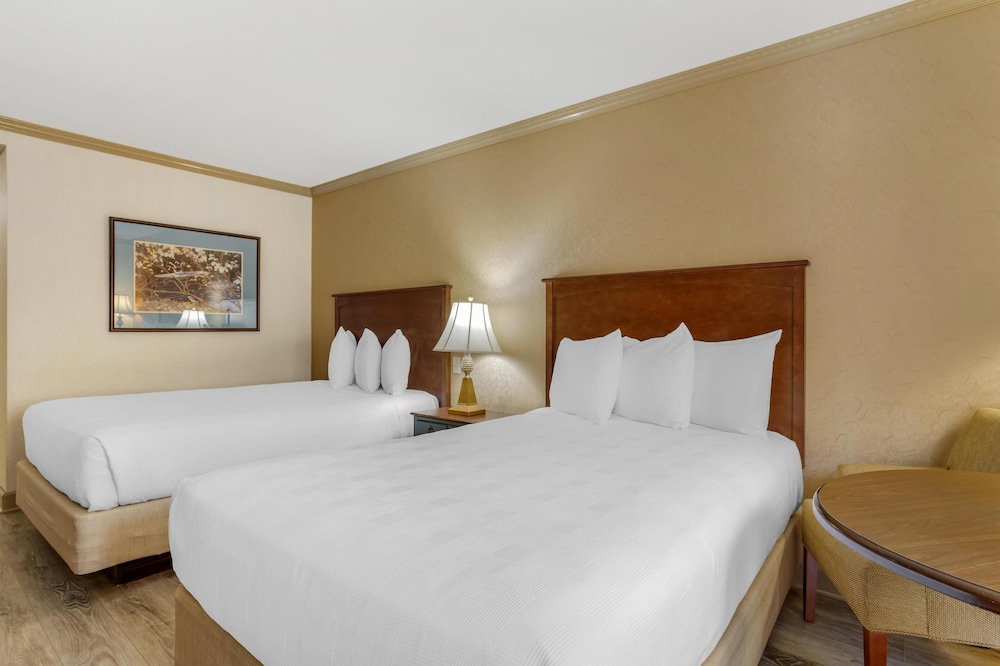 Standard Room, 2 Double Beds, Accessible, Refrigerator & Microwave