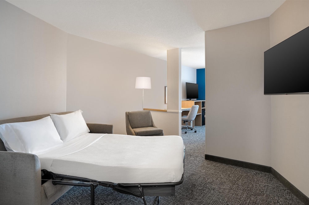 Room, 1 King Bed with Sofa bed, Accessible (Mobility & Hearing, Roll-In Shower) photo 1