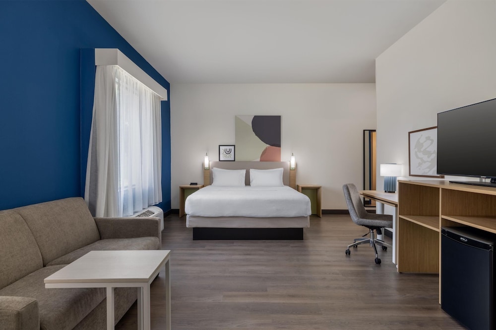 Room, 1 King Bed with Sofa bed