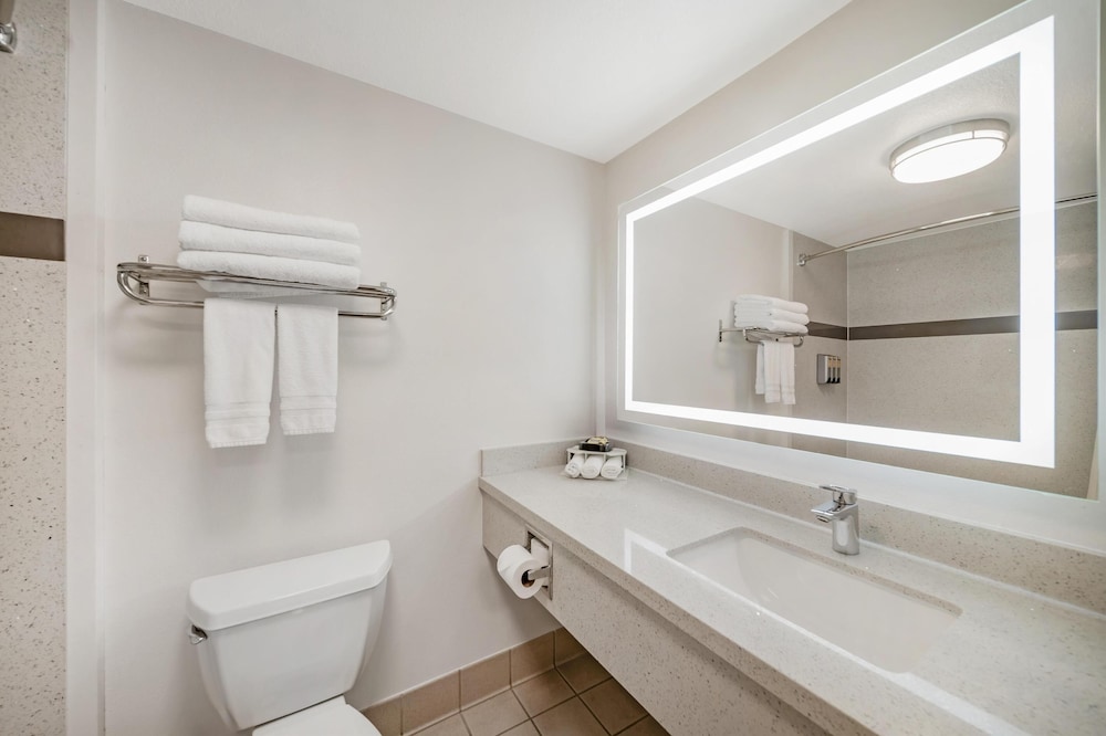 Suite, 1 King Bed, Non Smoking, Refrigerator & Microwave (with Single Sofabed) - Photo 4