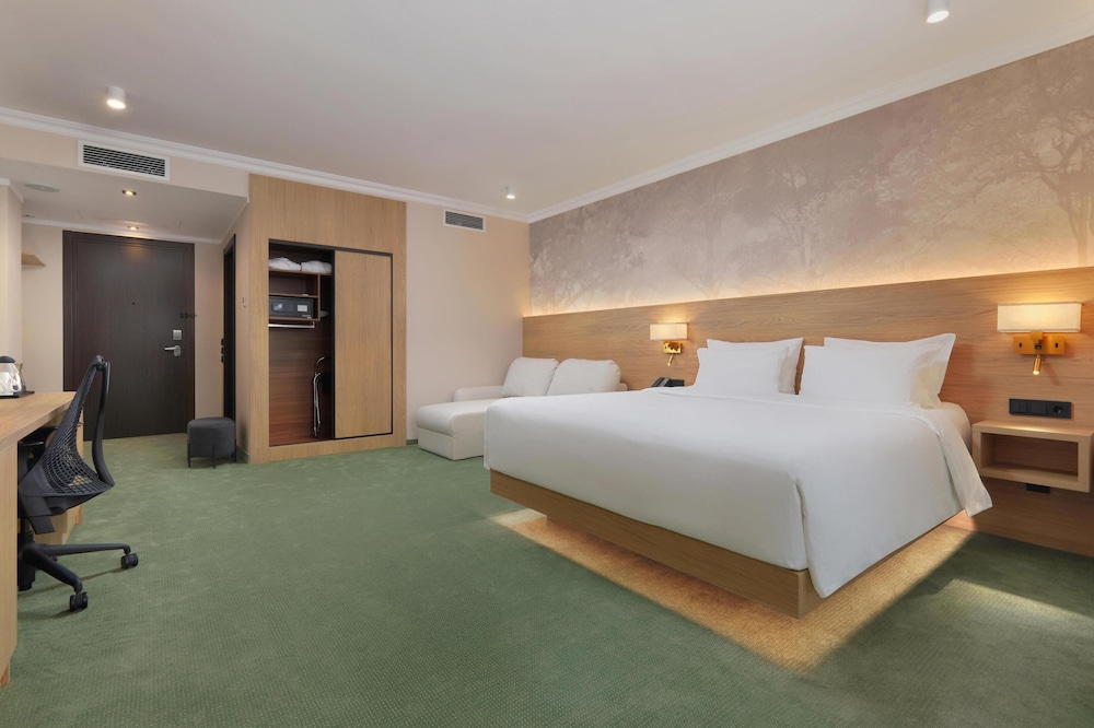 Superior Room, 1 King Bed photo 1