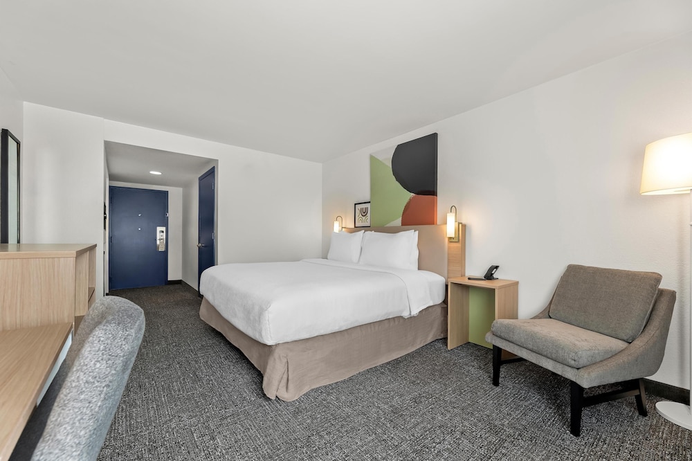 Room, 1 King Bed, Accessible (Mobility & Hearing, Roll-in Shower) - Photo 4