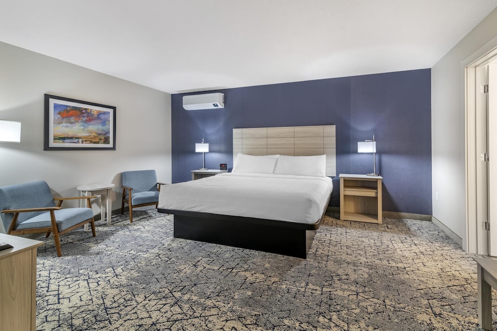 Suite, 1 King Bed, Non Smoking, Kitchenette (with Single Sofabed) photo 1