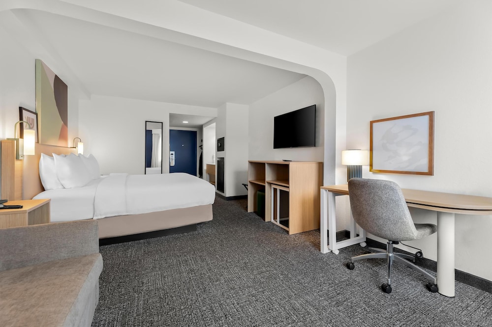 Room, 1 King Bed, Accessible (Mobility & Hearing, Roll-in Shower) - Photo 8
