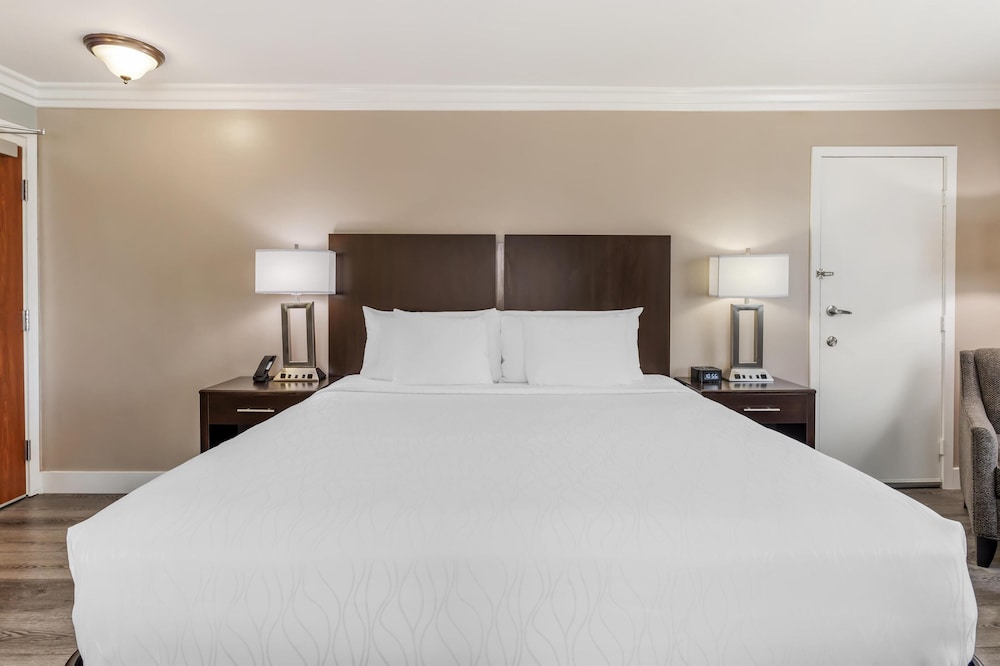 Standard Room, 1 King Bed, Refrigerator & Microwave, Corner