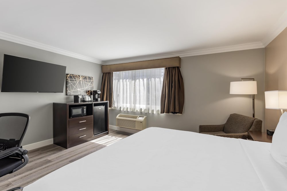 Standard Room, 1 King Bed, Non Smoking, Refrigerator & Microwave