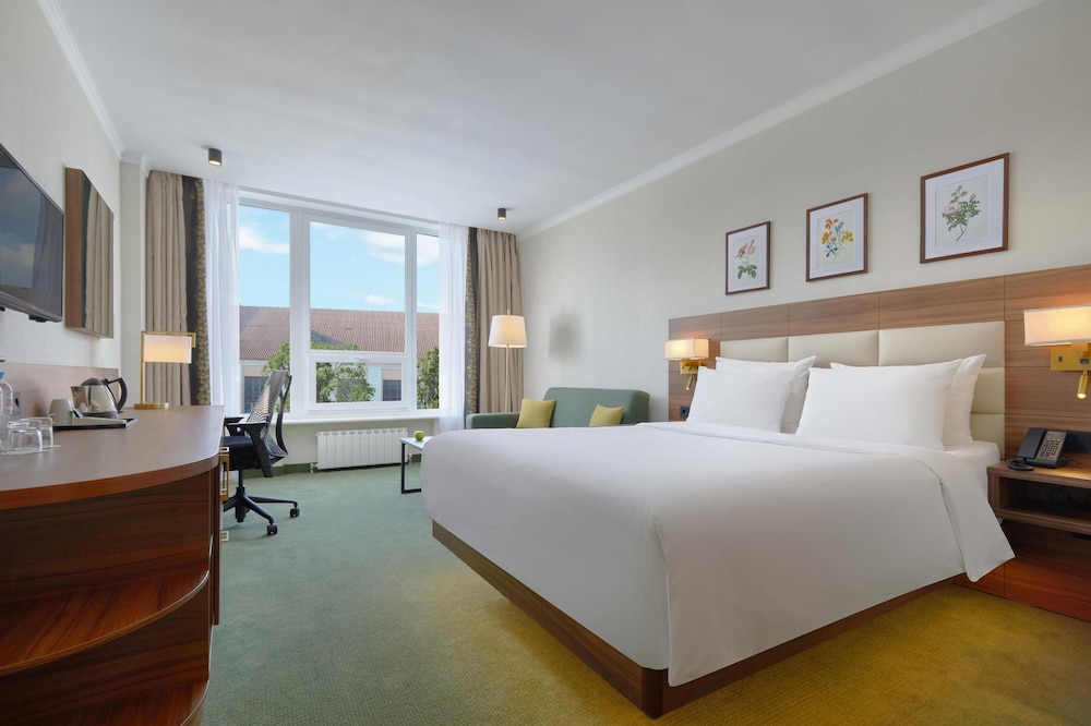 Superior Room, 1 Queen Bed photo 3