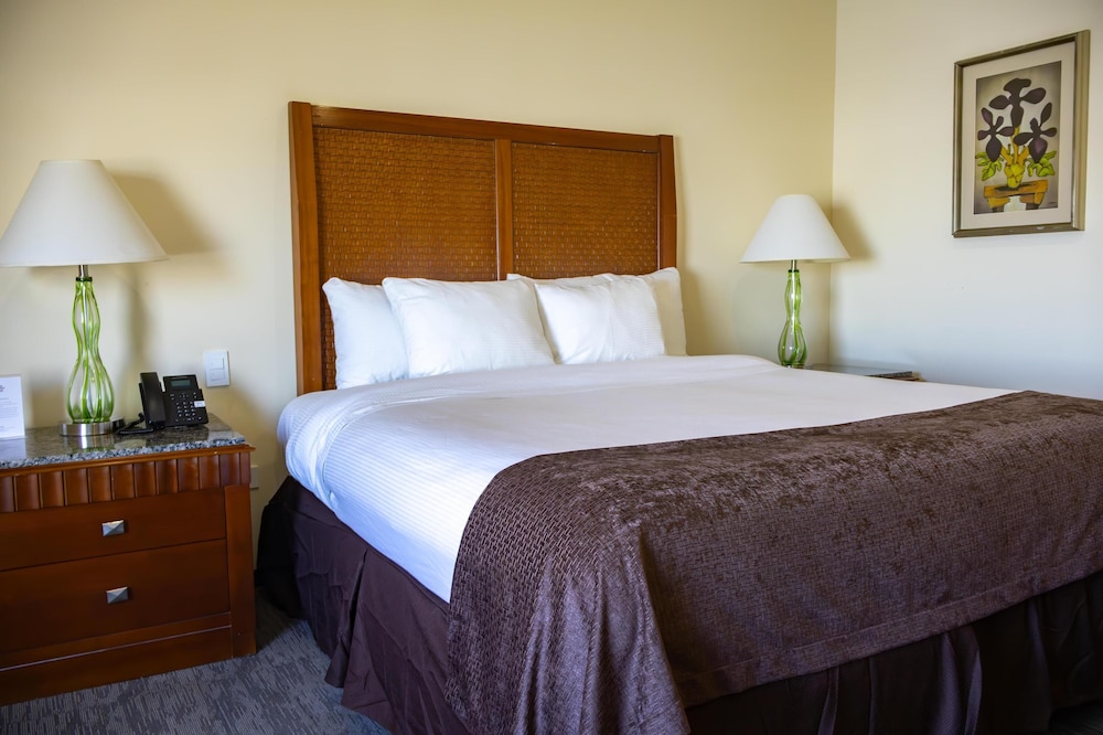 Standard Room, 1 King Bed, Accessible, Non Smoking - Photo 4