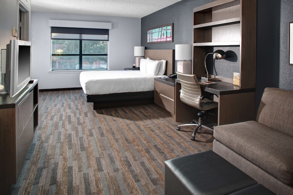 Suite, 1 Bedroom - Photo 1