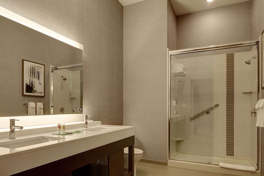 Suite, 1 King Bed with Sofa bed