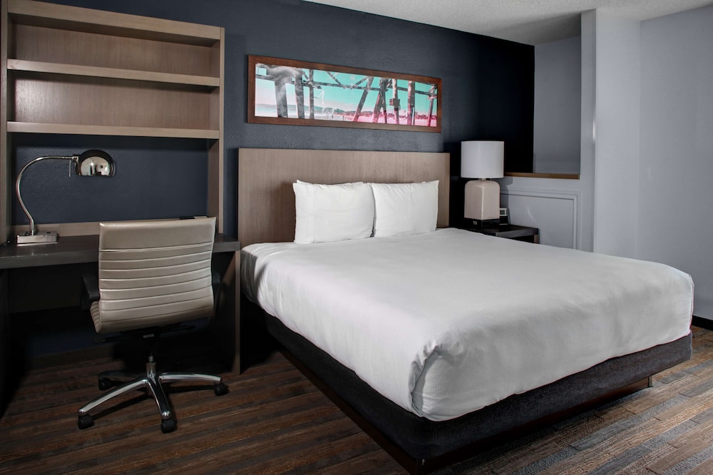 Suite, 1 Bedroom - Photo 2