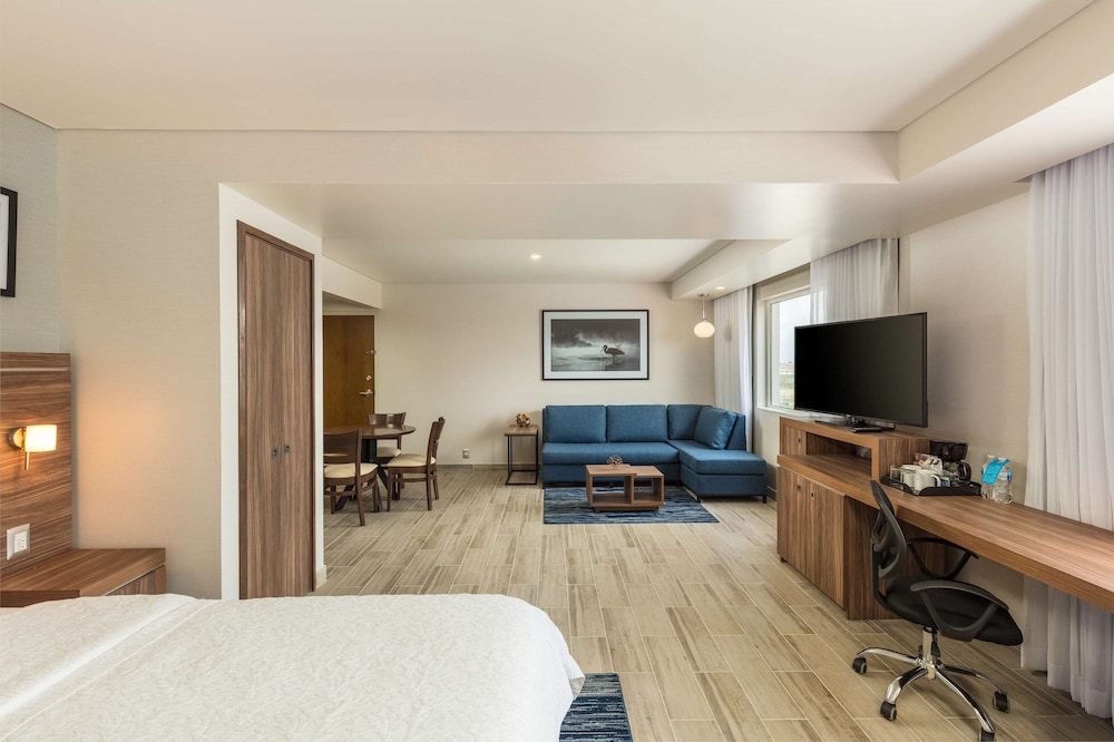 Suite, 1 King Bed, Refrigerator