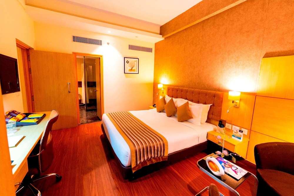 Suite, 1 King Bed photo 2