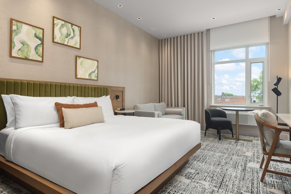 Room, 1 King Bed with Sofa bed, Kitchen