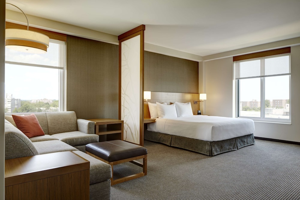 Room, 1 King Bed with Sofa bed, Accessible photo 3