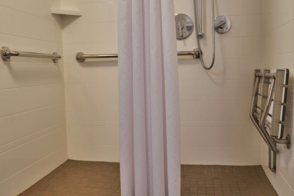 Room, 1 King Bed, Accessible (Mobility/Hearing, Roll-in Shower) - Photo 7