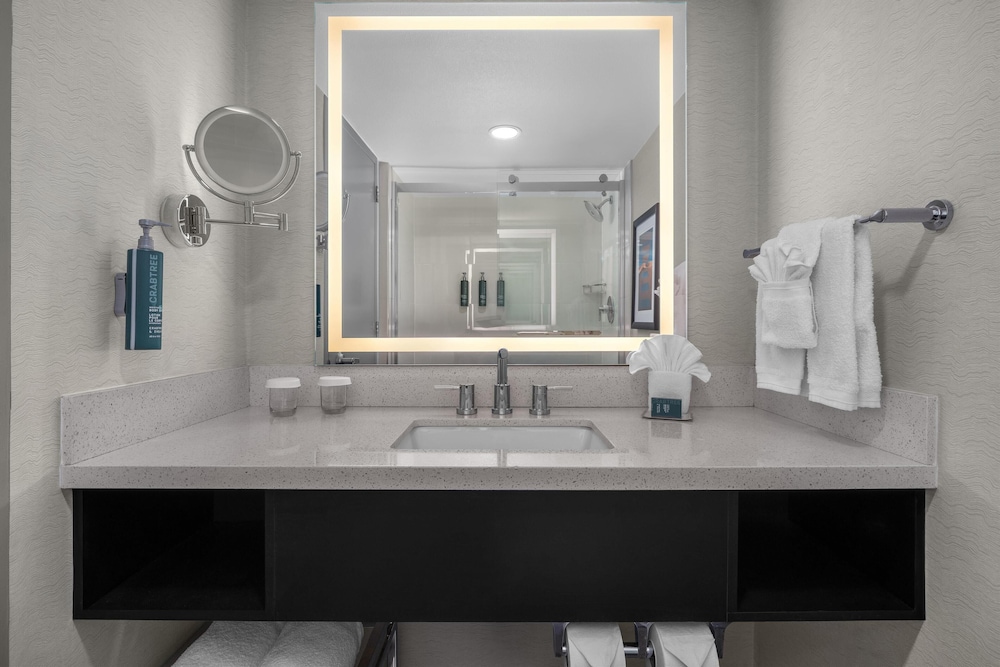 Suite, 1 King Bed