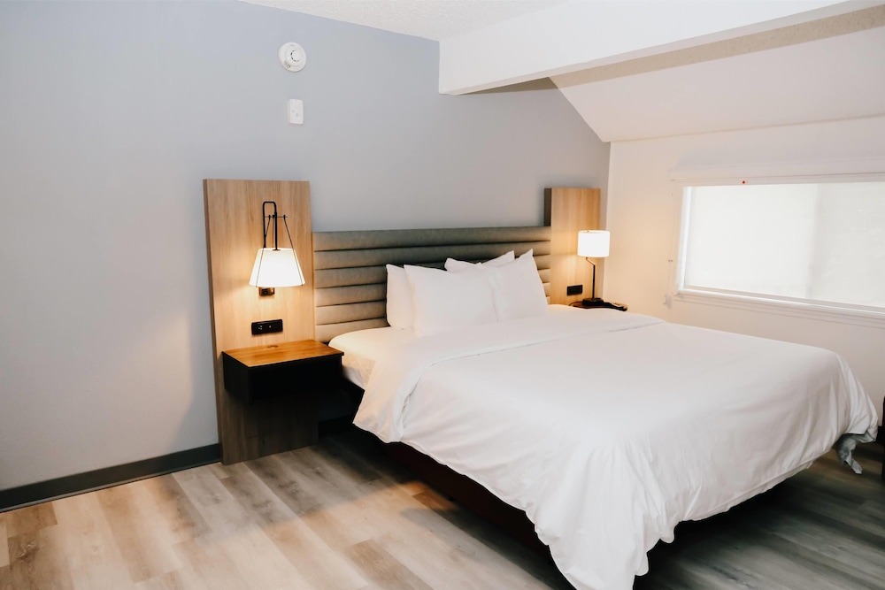 Room, Multiple Beds, Non Smoking (Deluxe Penthouse Suite) - Photo 5