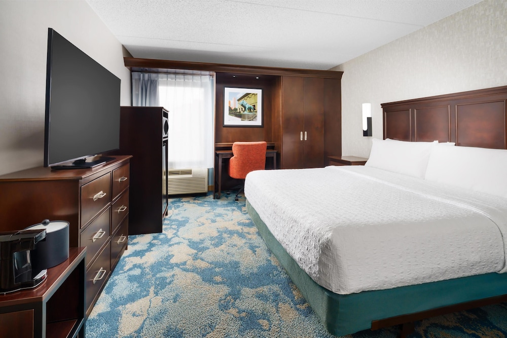 Room, 1 King Bed, Accessible, Bathtub (View) - Photo 1