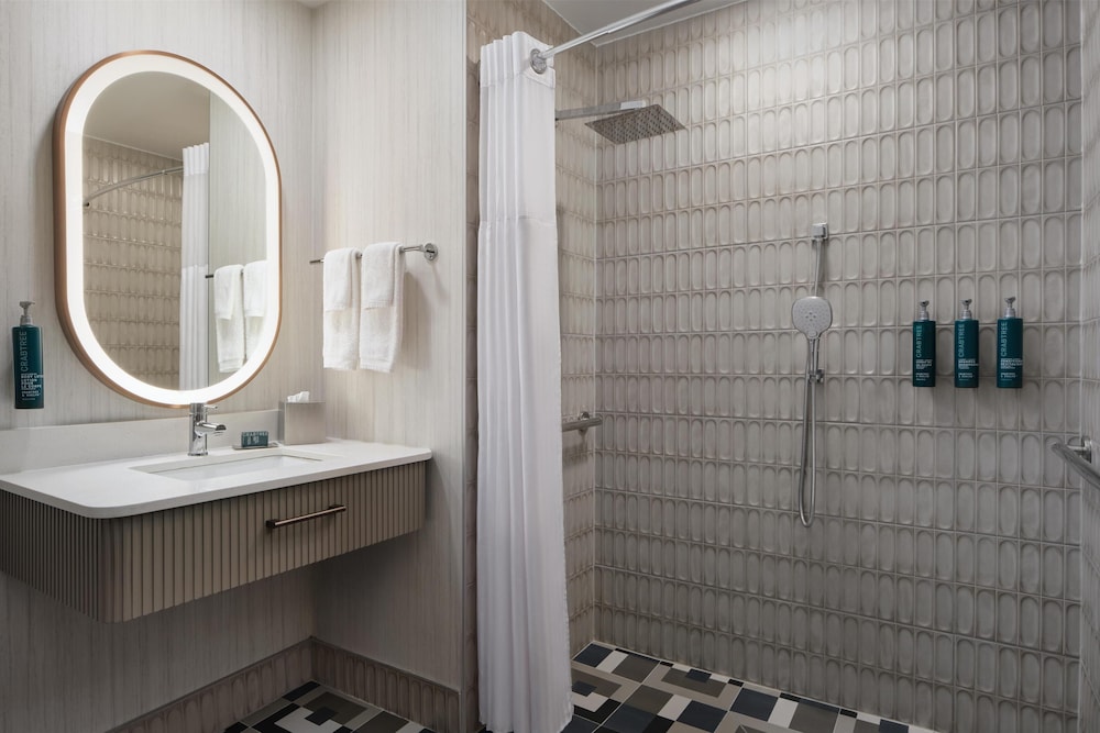 Suite, 1 King Bed, Accessible (Mobility, Roll-In Shower) - Photo 4