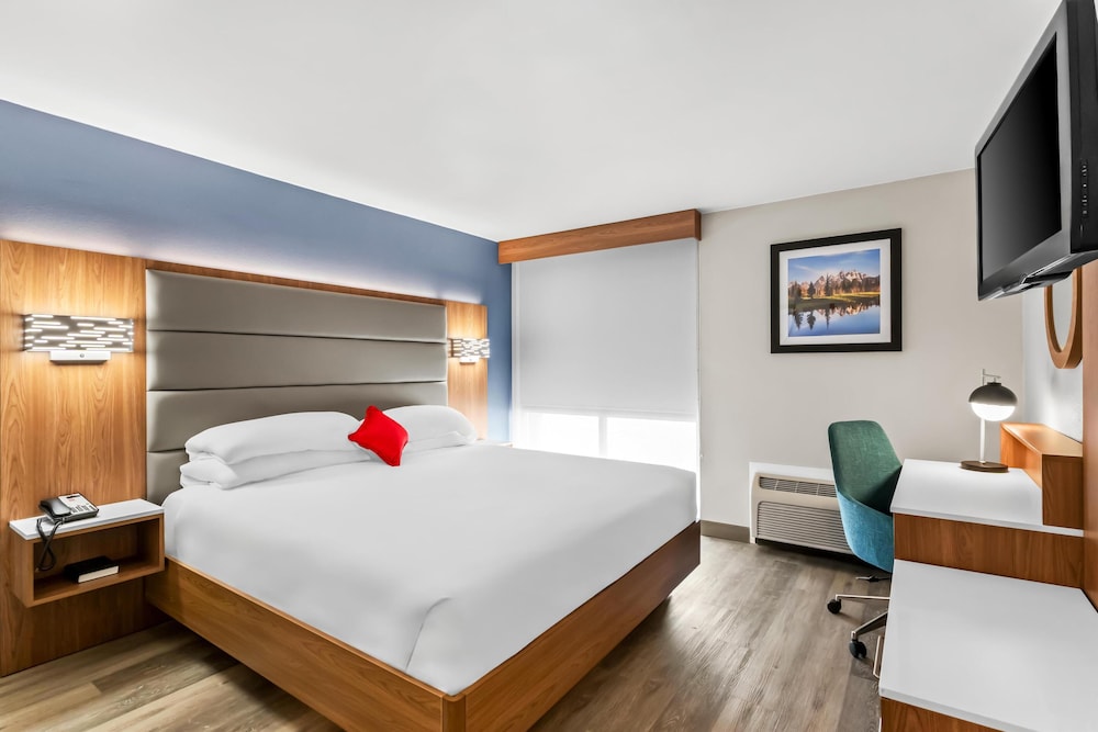 Deluxe Suite, 1 King Bed (Mini) - Photo 2
