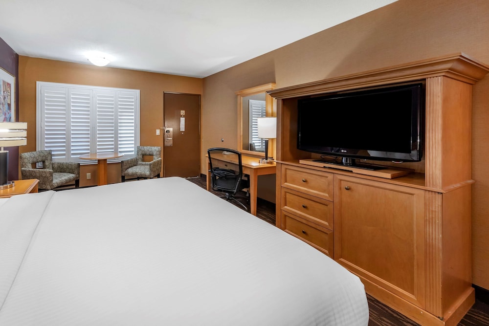 Standard Room, 1 King Bed, Accessible, Non Smoking - Photo 1
