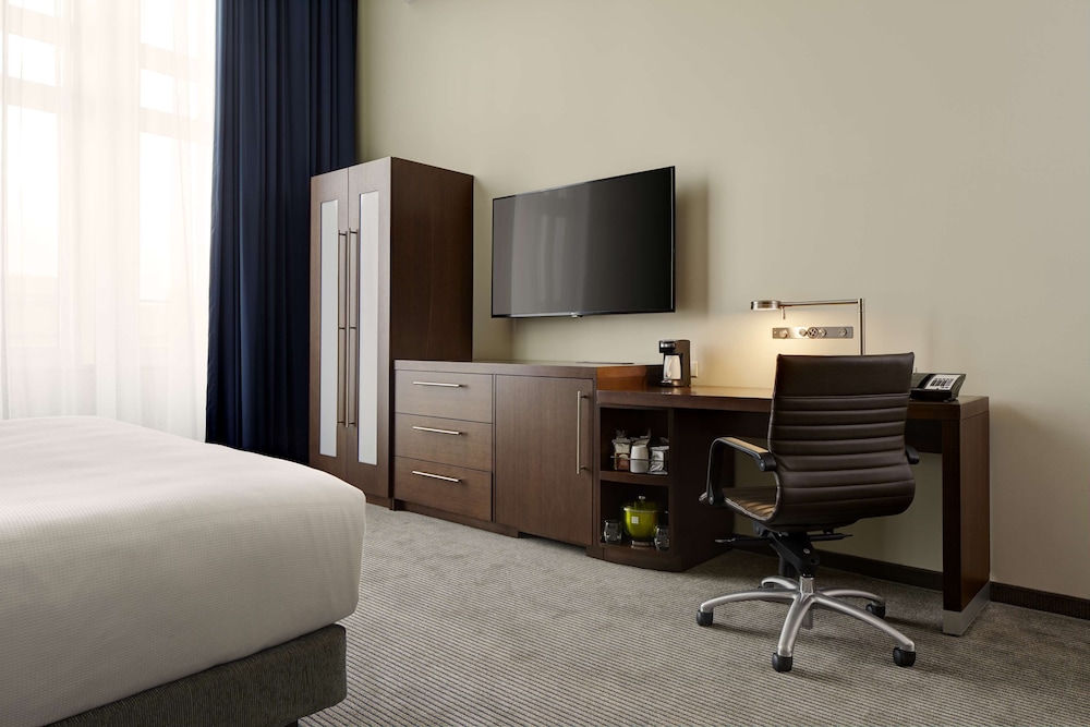 Room, 1 King Bed with Sofa bed, Accessible (Shower) photo 3