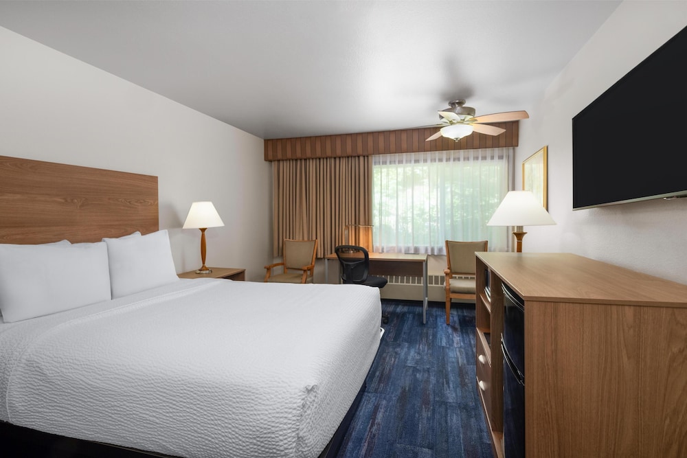 Standard Room, 1 Queen Bed, Non Smoking, Refrigerator & Microwave photo 3
