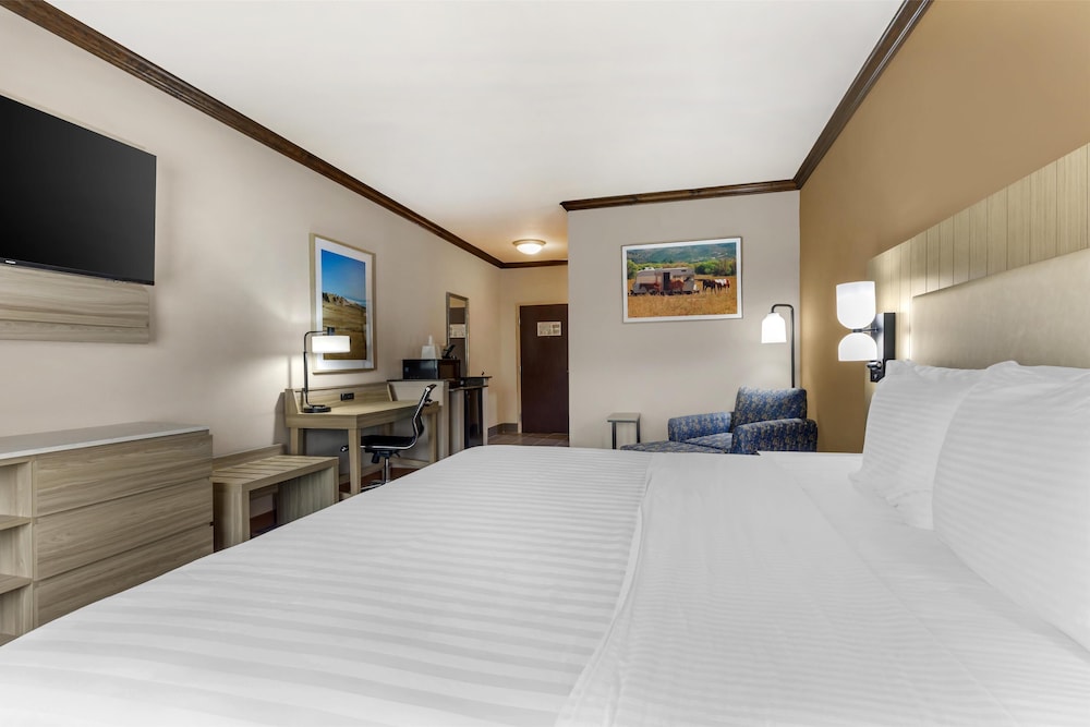 Standard Room, 1 King Bed, Non Smoking, Refrigerator & Microwave photo 3