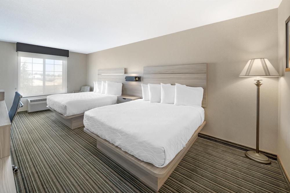 Standard Room, 2 Queen Beds, Non Smoking, Refrigerator & Microwave (Pet Friendly) - Photo 2