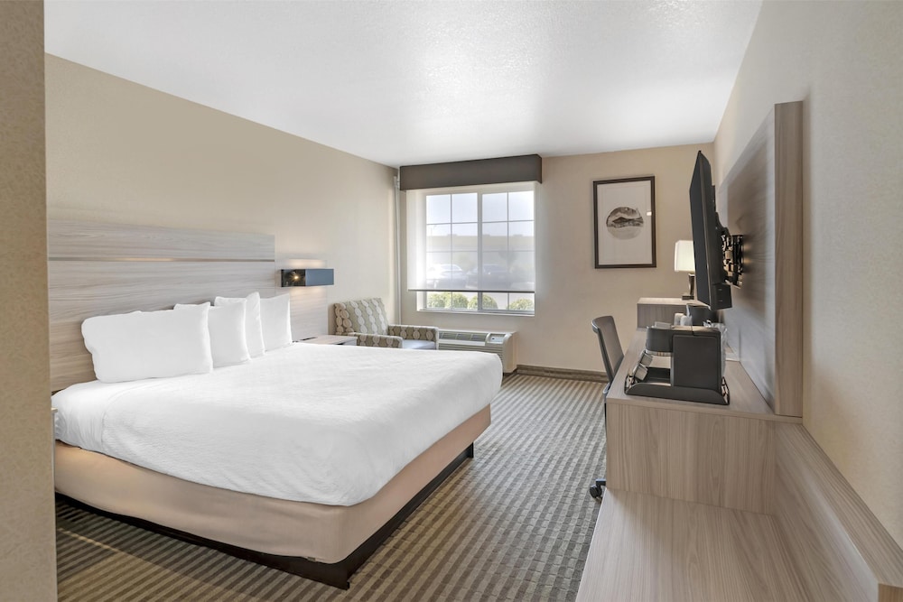 Standard Room, 1 Queen Bed, Accessible, Refrigerator & Microwave - Photo 2
