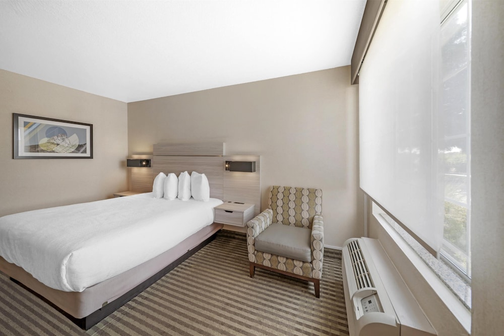 Standard Room, 1 Queen Bed, Accessible, Refrigerator & Microwave - Photo 3