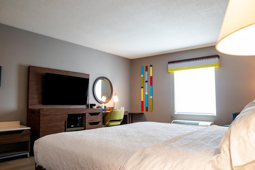 Room, 1 King Bed, Accessible - Photo 4