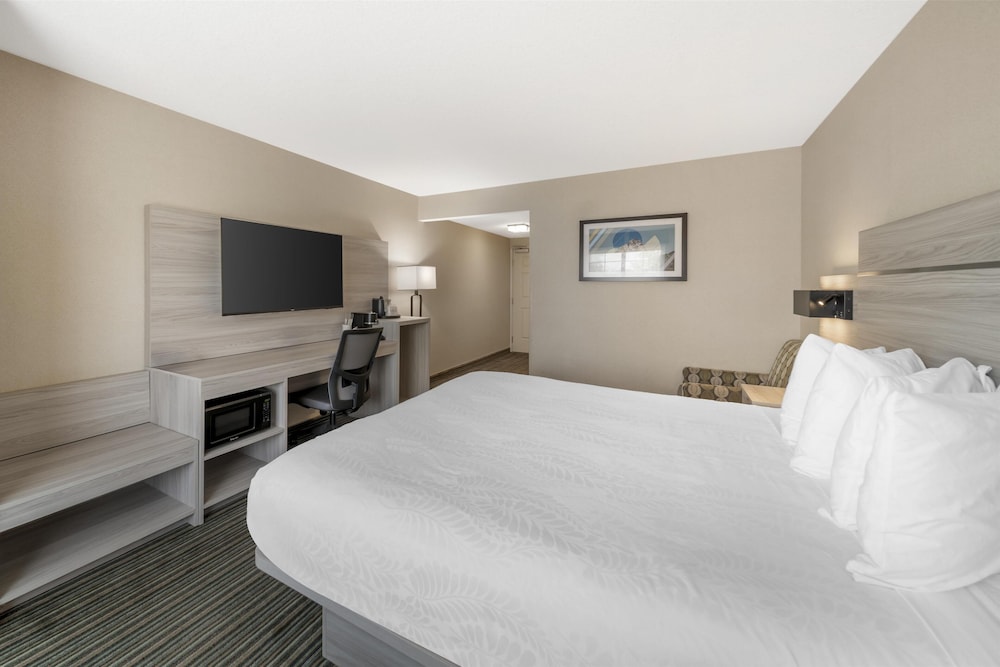 Standard Room, 1 King Bed, Accessible, Refrigerator & Microwave - Photo 1