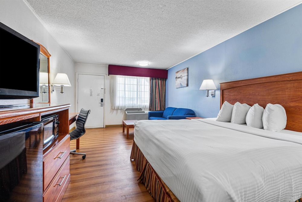 Standard Room, 1 King Bed, Non Smoking, Refrigerator & Microwave (with Sofabed) - Photo 1