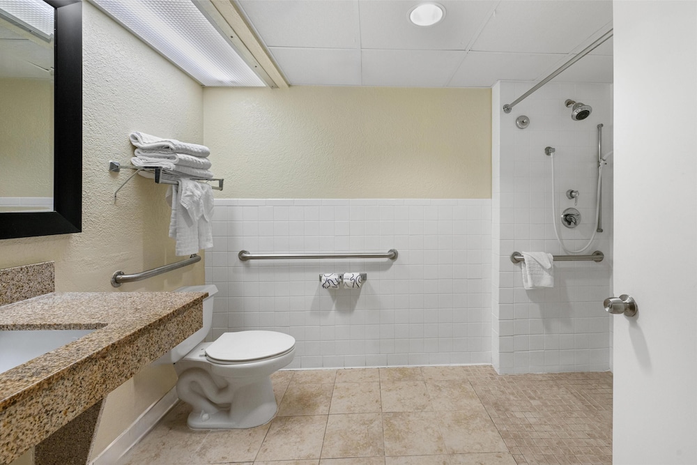 Standard Room, 1 King Bed, Accessible, Refrigerator & Microwave - Photo 4