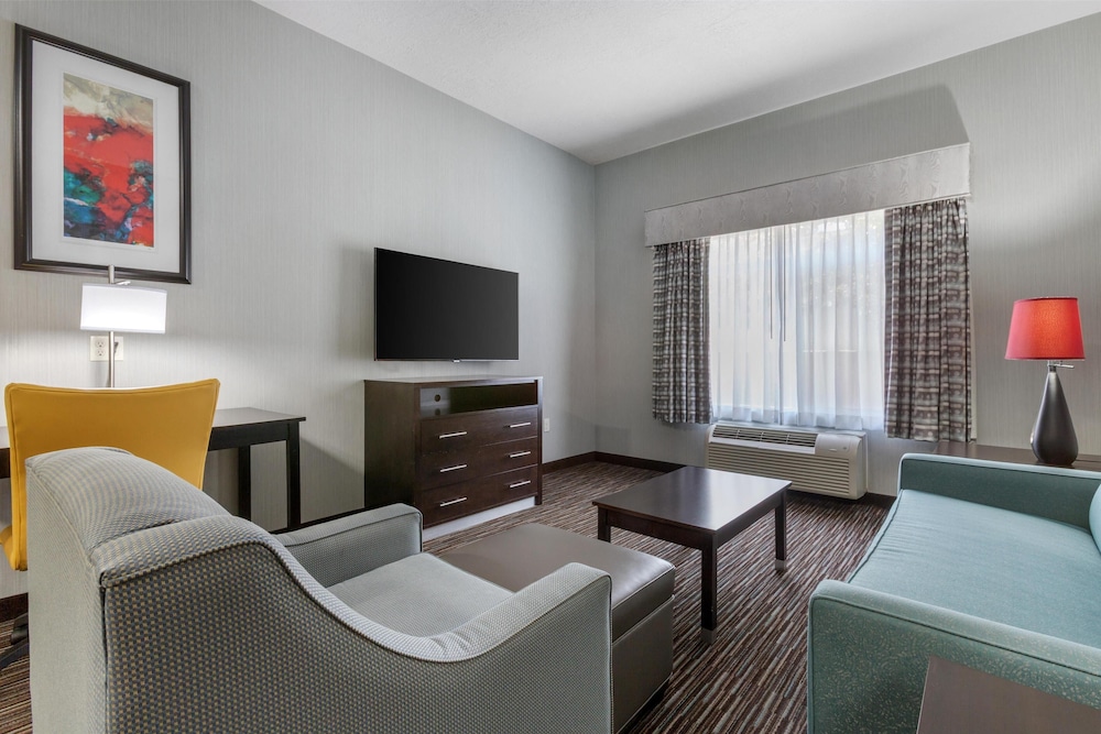Suite, 1 King Bed, Accessible, Kitchen (with Sofabed) photo 3